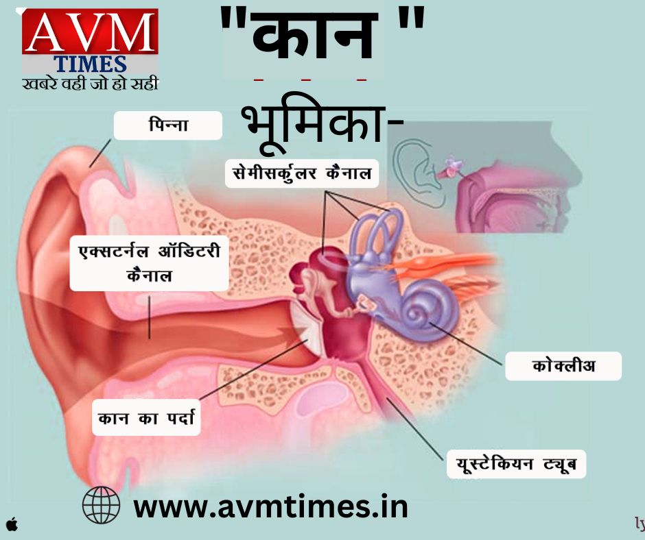 कान " भूमिका-