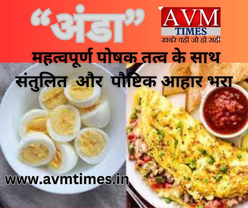 अंडा महत्वपूर्ण पोषक तत्व के साथ संतुलित और पौष्टिक आहार भरा